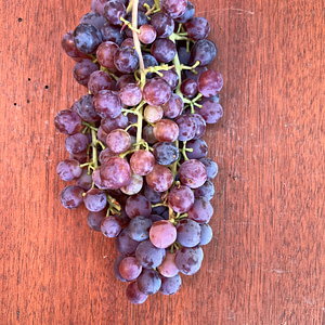 Organic Red Grapes (1kg)