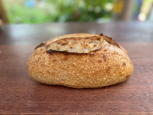 Sourdough Loaf